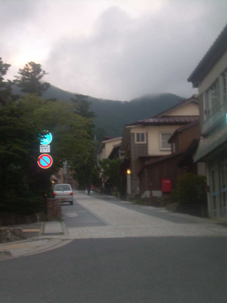 dscn0740.jpg - This is at the foot of the hill where the temple was, near Yonago City.