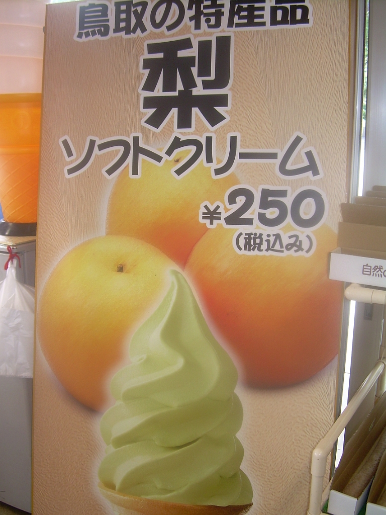 dscn0751.jpg - You could even get  nashi  soft-serve ice cream.