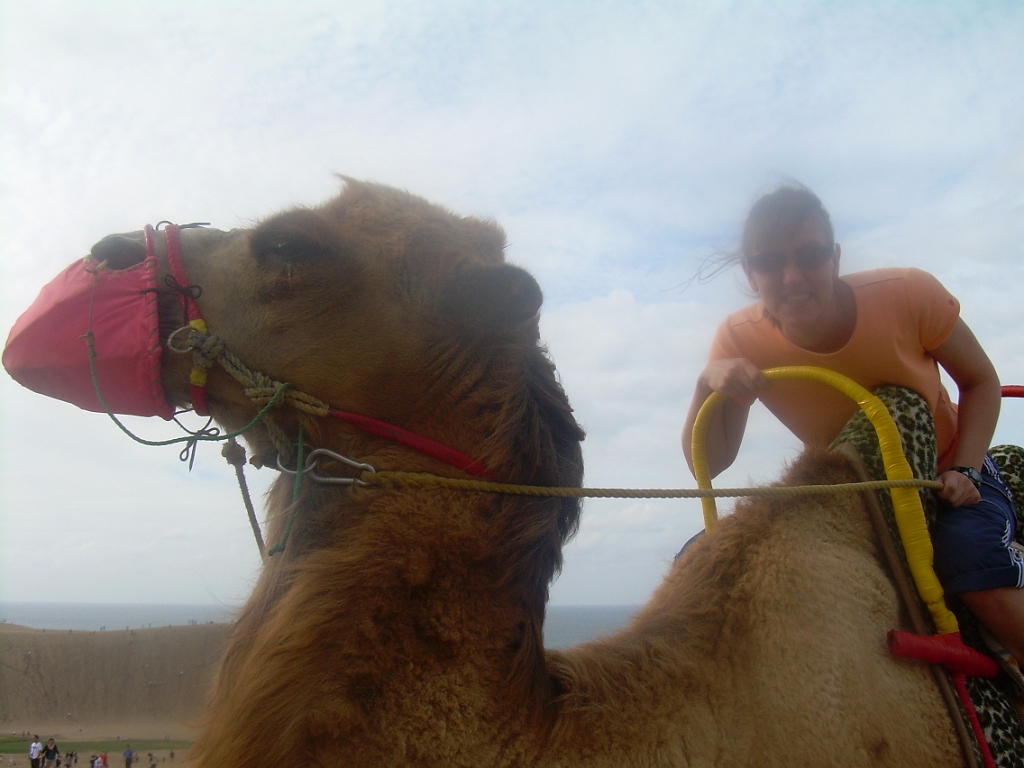 dscn0758.jpg - I did not expect to pose with a camel as part of my time in Japan.  Life is full of surprises.