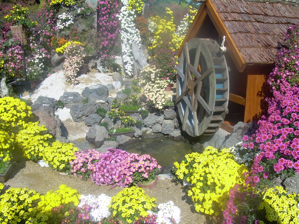 dscn0858.jpg - Flowers & Waterwheel