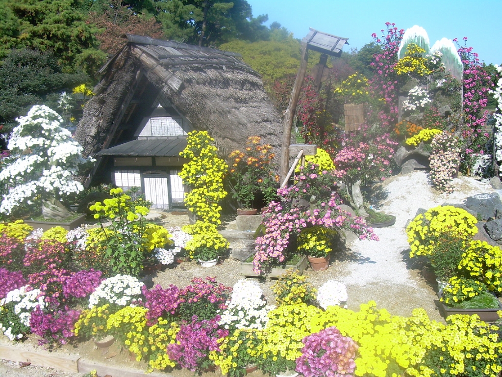 dscn0859.jpg - Flowers & Little Japanese Hut