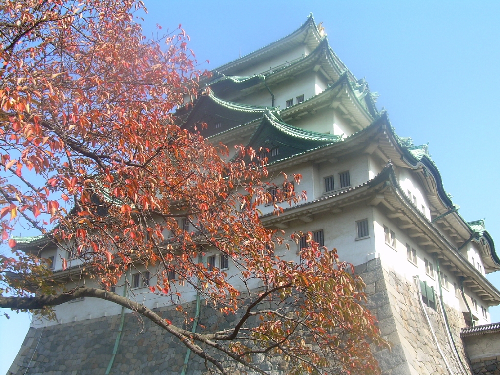 dscn0863.jpg - Nagoya Castle with Fall Leaves