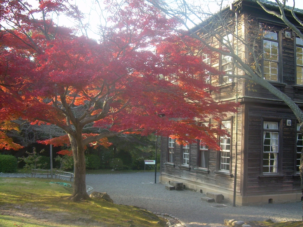 dscn0867.jpg - After the castle, we headed to Meiji Mura, a historical village that collects noteworthy buildings in one place, and which also happened to have beautiful fall colors.