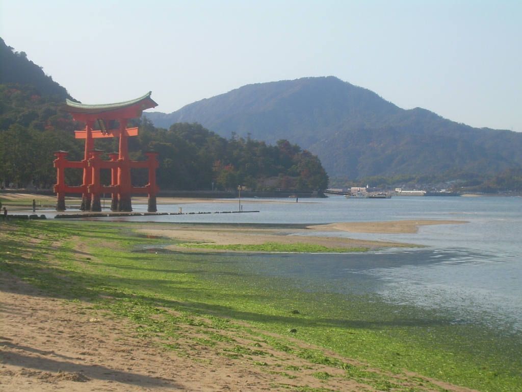 dscn0909.jpg - Miyajima is the site of that most famous torii gate that is in all the Japan tourist photos.  Here it is at low tide.