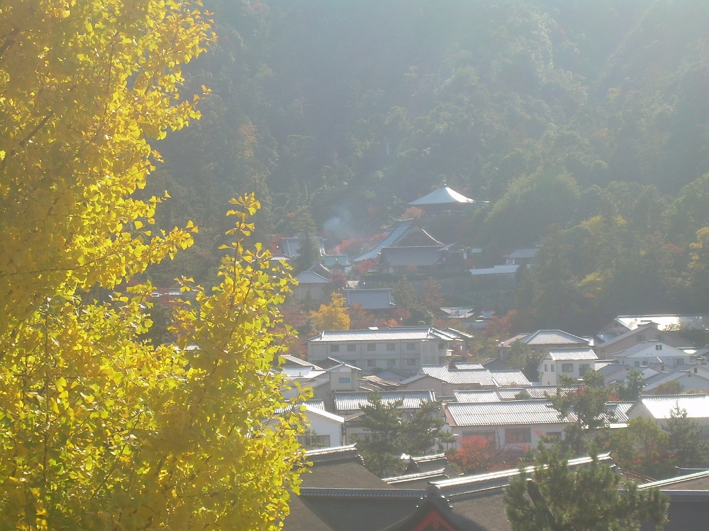 dscn0924.jpg - This view from near the pagoda shows the fall leaves in the foreground.