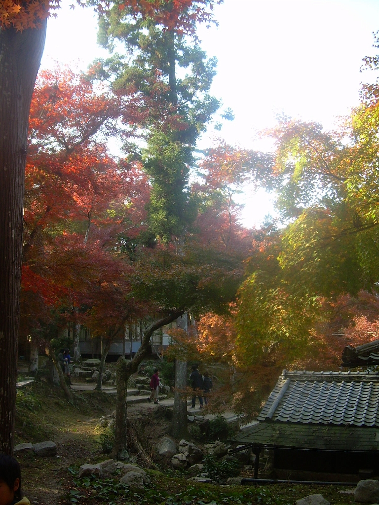 dscn0928.jpg - Such beautiful fall colors!