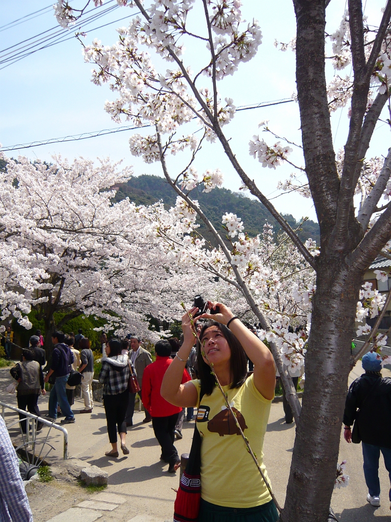 p1000103.jpg - Myra documents the blossoms