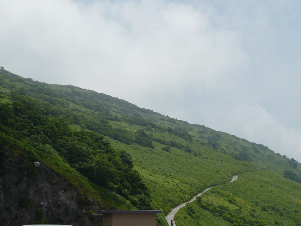 p1010746.jpg - On July 4, since the Japanese kids had final exams, an English teacher and a biology teacher at my base school took me and the two visiting high school students from Michigan up Mt. Ibuki, the tallest mountain in Shiga Prefecture.