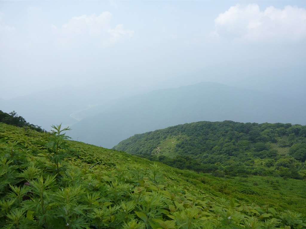 p1010748.jpg - Mt. Ibuki looms over my base high school, but from up here on a hazy day, you can't see down to the school.