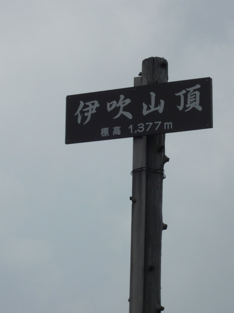 p1010763.jpg - The Summit of Mt. Ibuki!  1,377 meters in the air.  (For comparison, Mt. Fuji is 3,776 meters.  This one was much more relaxing.)