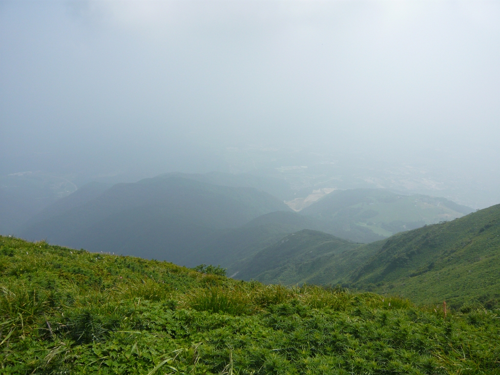 p1010764.jpg - Gazing into the hazy distance