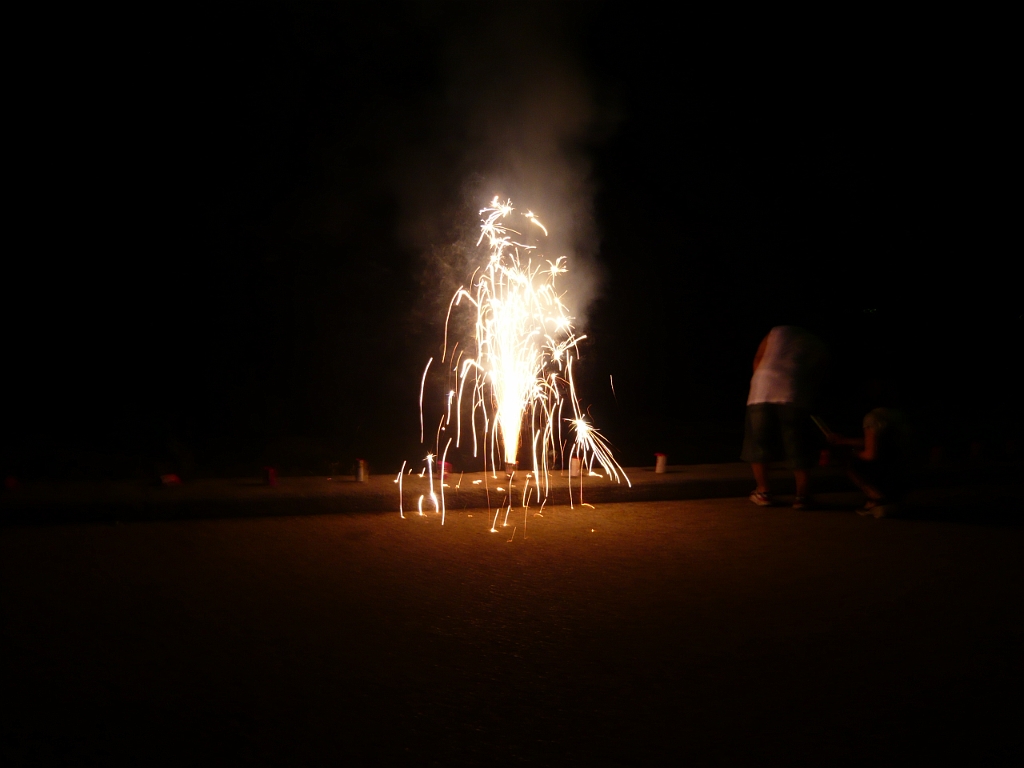 p1010778.jpg - Some Japanese people were actually already out there on the lakeshore setting off gerbs of their own. We informed them that it was America's birthday and they got excited and gave us some of their fireworks.