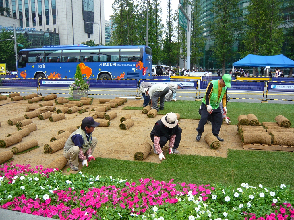 p1010933.jpg - Here they are unrolling a lawn.