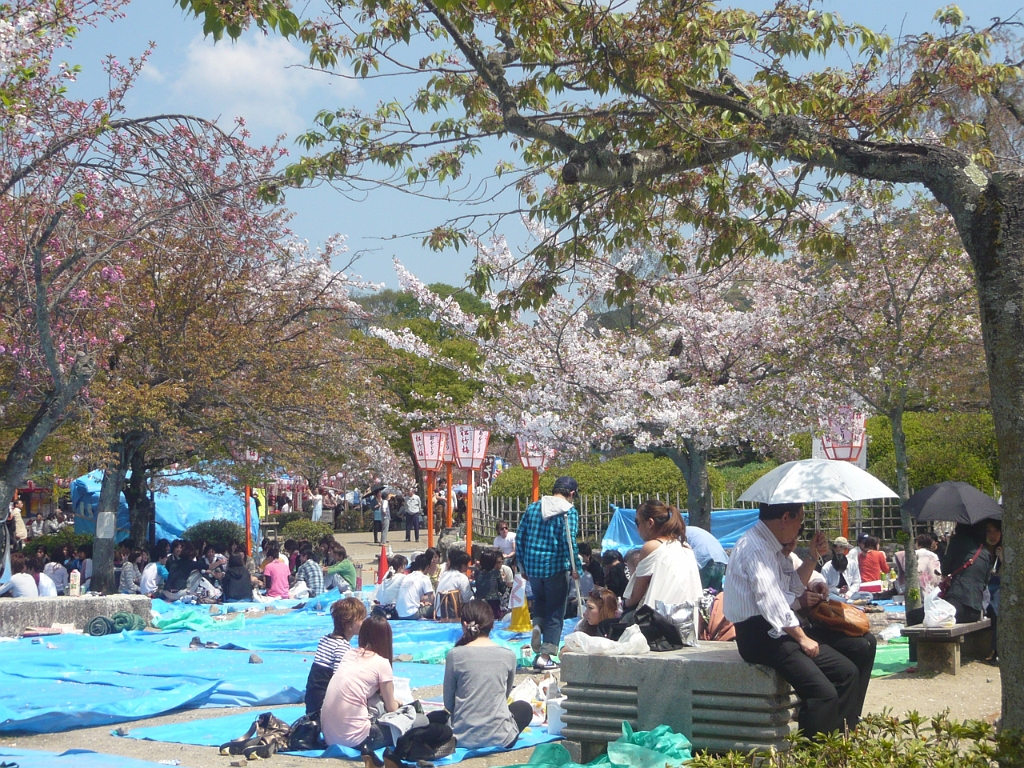 p1020219.jpg - Yep, here we are at the ridiculously crowded Maruyama Park in downtown Kyoto again.  We're a little after the peak, hence the free space on the ground.