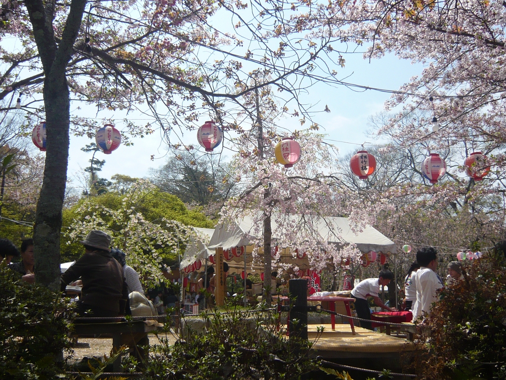 p1020227.jpg - Lanterns and blossoms