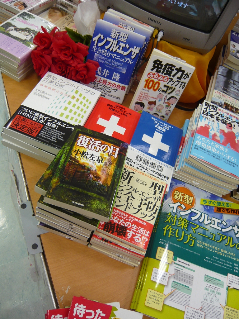 p1020587.jpg - All these books were about H1N1 influenza.  Oh, Japan.