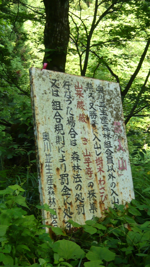 p1020739.jpg - A sign we found in the woods telling us we couldn't go further without permission.