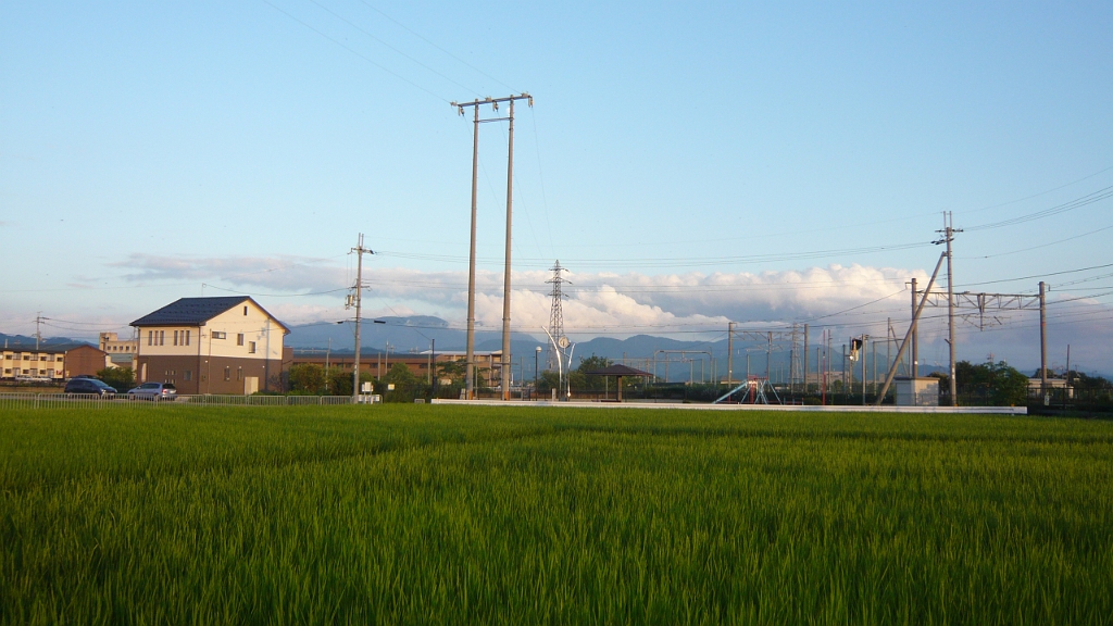 P1020864.JPG - More rice paddies