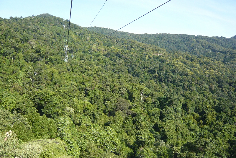 p1010081.jpg - The next day we got up early and rode the Skyrail, a 7.5 kilometer cable car into the tropical rainforest canopy.