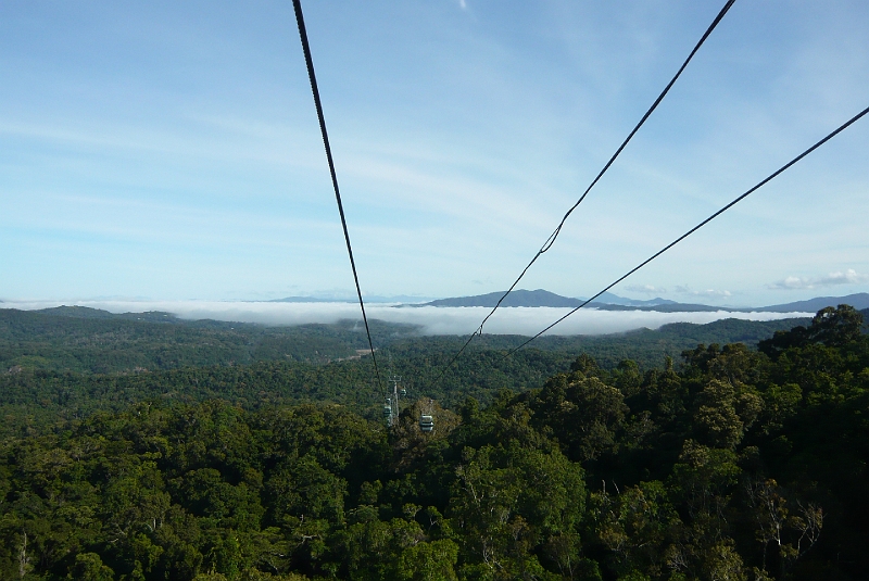 p1010101.jpg - The Skyrail descends again into the canopy.