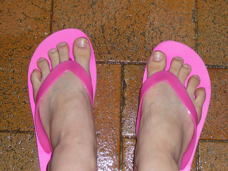 p1010189.jpg - My feet in flip flops.
(Pictures of feet on trips are a recurring theme for us lately.)