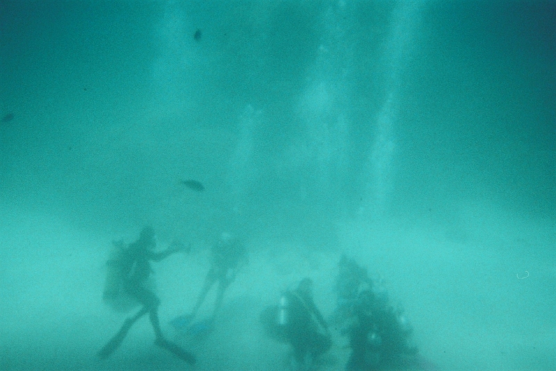 p1010206-15.jpg - More scuba divers.