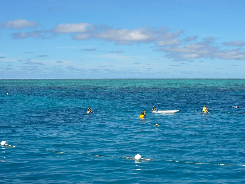 p1010207.jpg - People snorkeling off the pontoon.  We went snorkeling after lunch.  I'm glad I got to try both scuba diving and snorkeling.  The impact of scuba diving was more intense, but you have more freedom when you snorkel -- especially in our case, because we were beginners and stuck with our teacher the whole time.