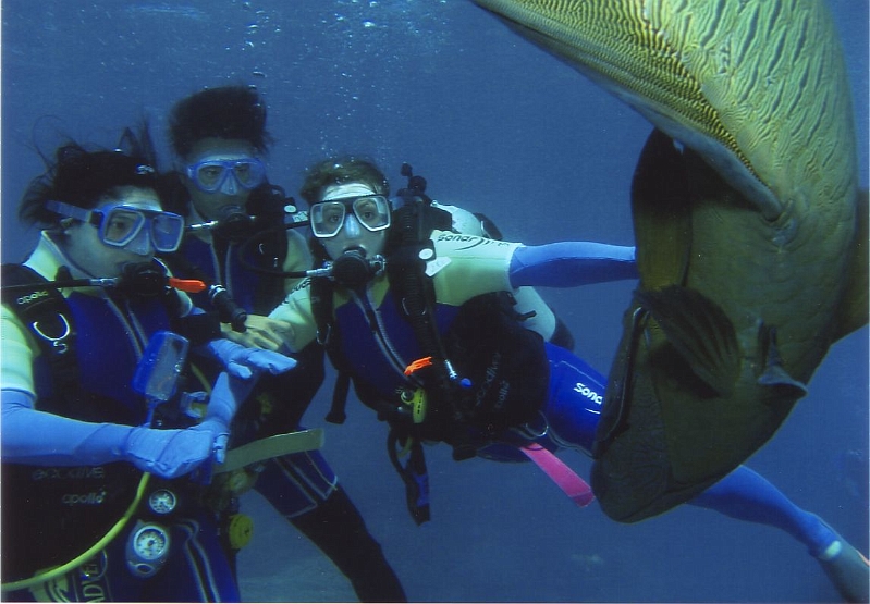 scubadiving.jpg - This is the professional picture they took of us.