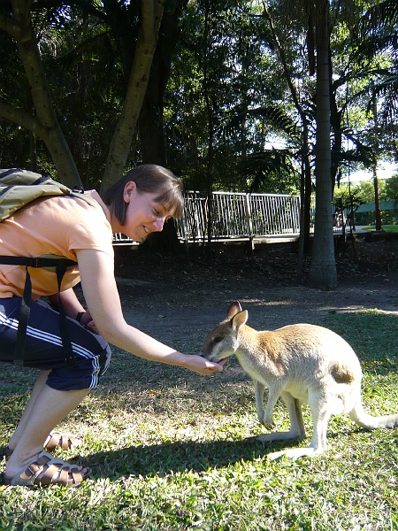 p1010252.jpg - Feeding a wallaby.