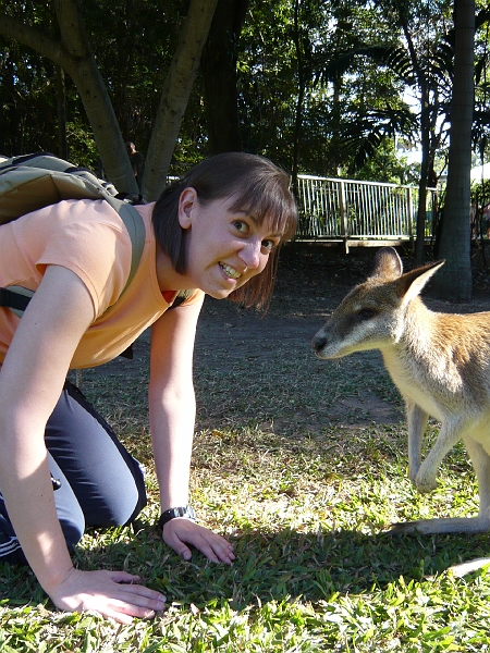 p1010255.jpg - These are very laid-back wallabies.