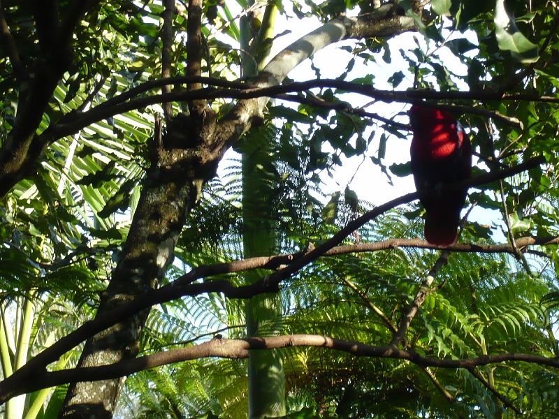 p1010276.jpg