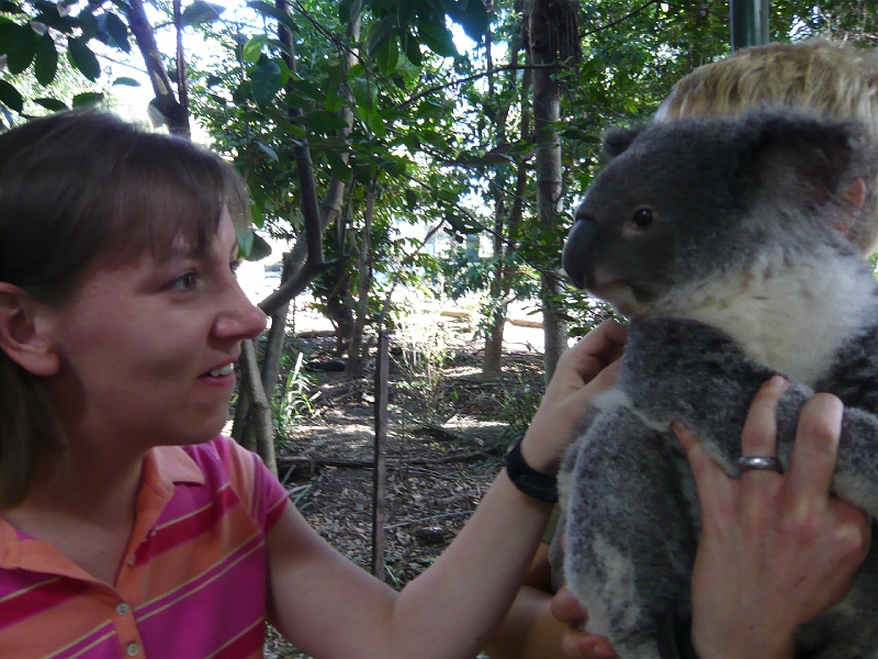 p1010379.jpg - I ♥ koalas!