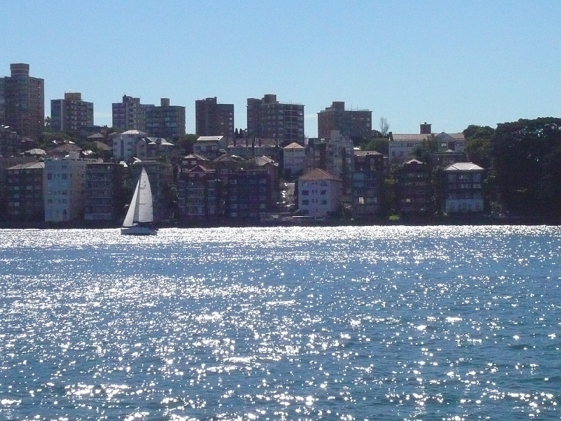 p1010551.jpg - A sailboat on shimmering Sydney Harbour.