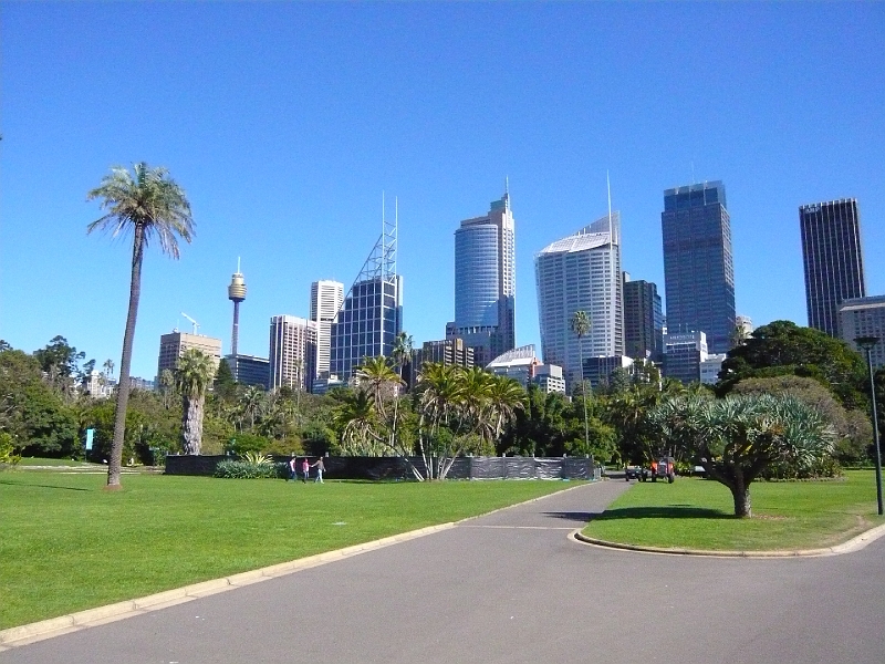 p1010557.jpg - The skyline from the Royal Botanic Gardens.