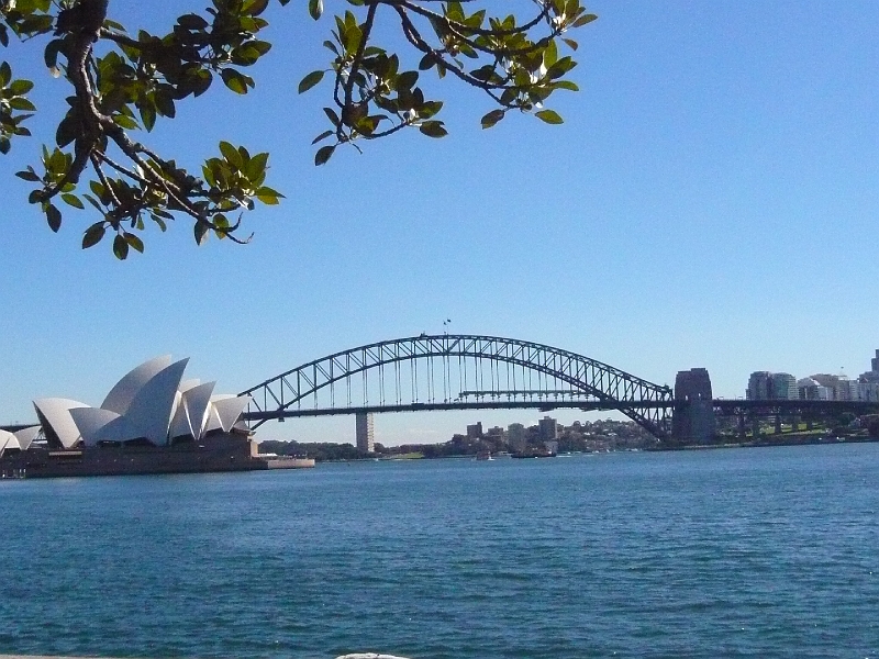 p1010560.jpg - The Opera House and the Harbour Bridge from the Botanic Gardens.