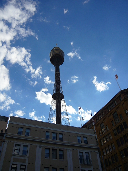 p1010580.jpg - Our next destination was the Sydney Tower.  We did three observation decks on this trip, and I had only pushed for one of them.  Cool!  I love observation decks.