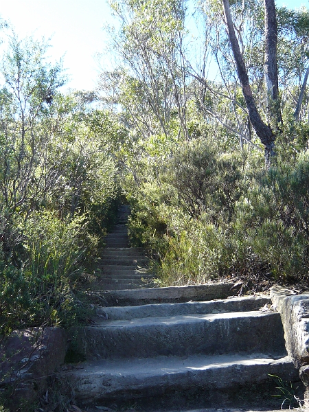 p1010644.jpg - Myra and I are in fairly good shape, but these stairs winded us!