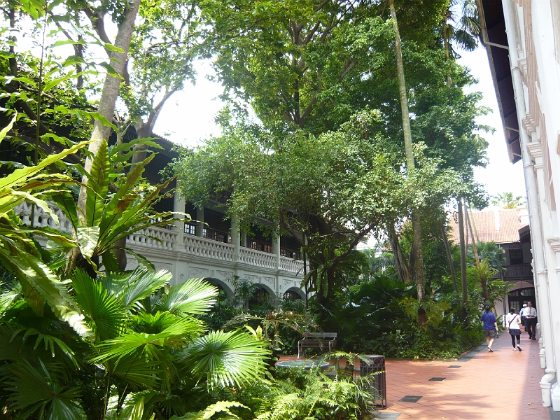 p1020371.jpg - The lush tropical courtyard